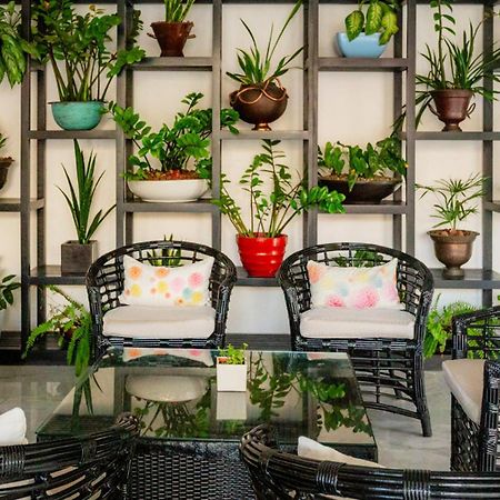 Palacio Mundo Imperial Riviera Diamante Acapulco Ngoại thất bức ảnh A balcony garden