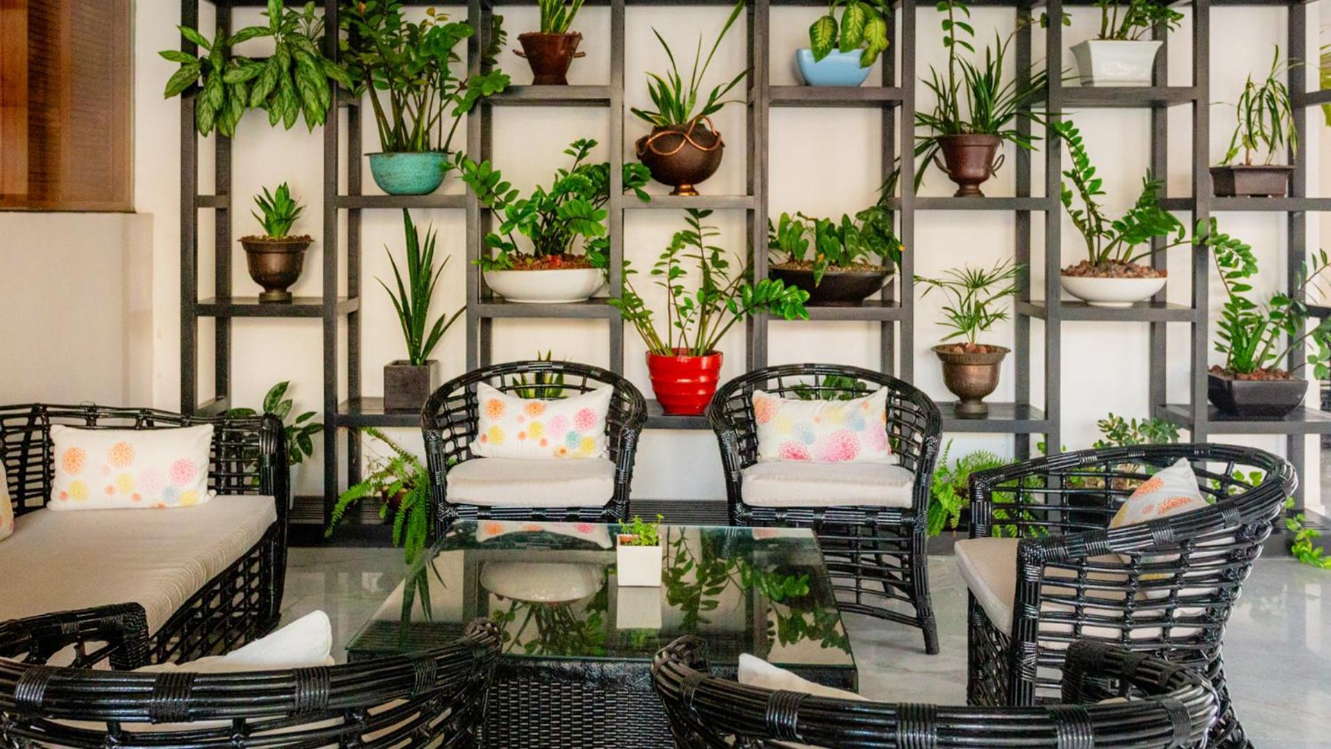 Palacio Mundo Imperial Riviera Diamante Acapulco Ngoại thất bức ảnh A balcony garden